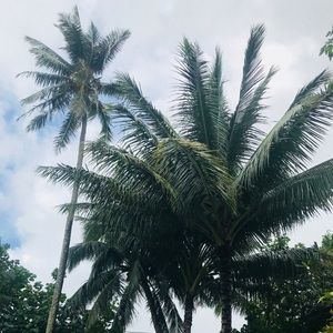 Meet your Posher, Belize